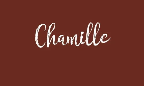 Chamille Font Free Download