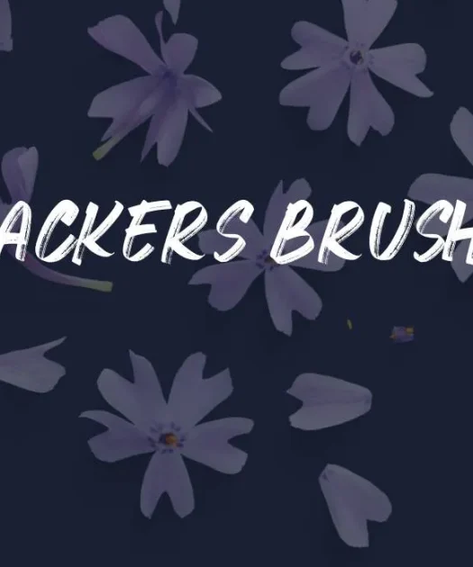 Crackers Brusher Font Free Download