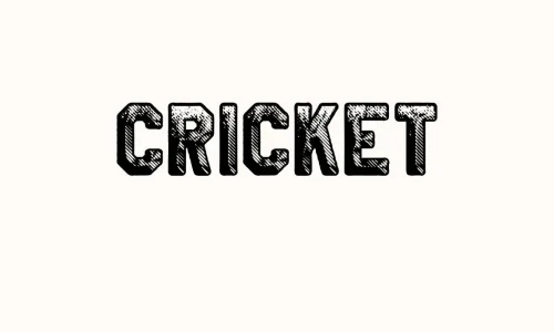 Cricket Font Free Download