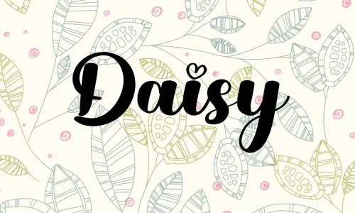 Daisy Font Free Download