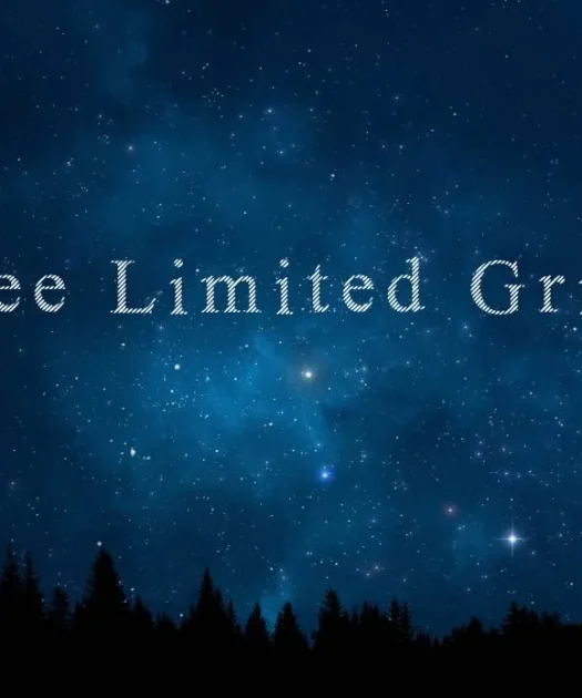 Free Limited Grids Font Free Download