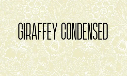 Giraffey Condensed Font Free Download