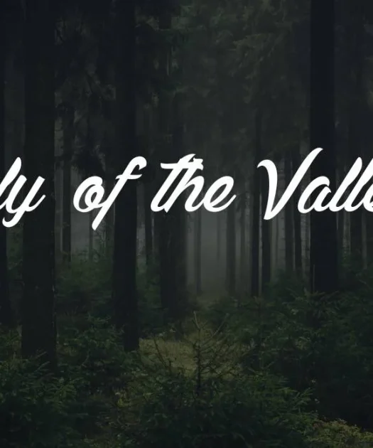 Lily of the Valley Font Free Download