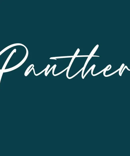 Panther Font Free Download