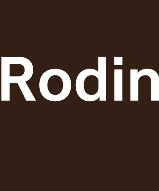 Rodin Font Free Download