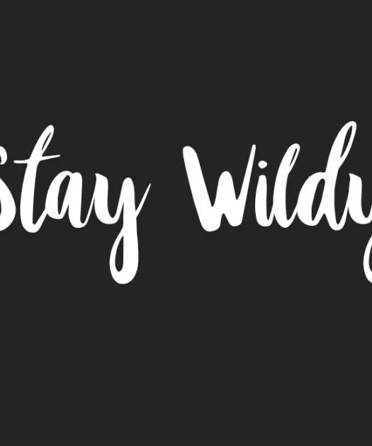 Stay Wildy Font Free Download