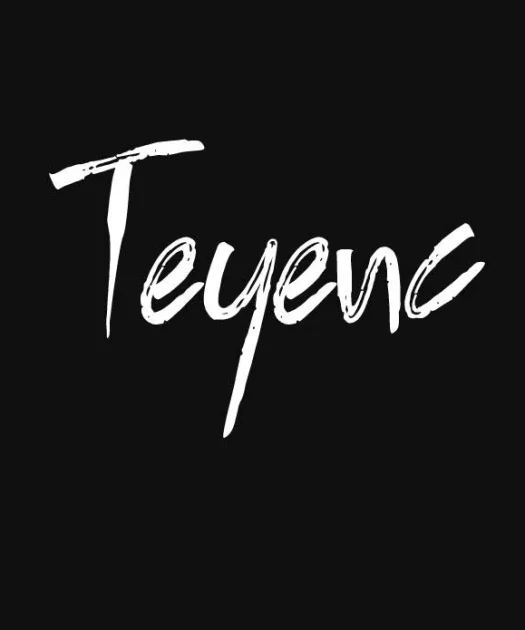 Teyenc Typeface Font Free Download