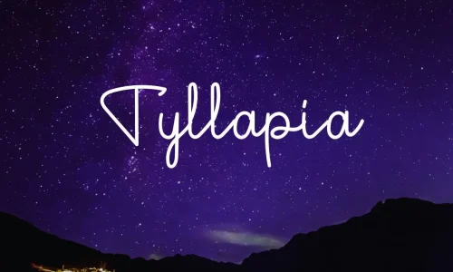 Tyllapia Font Free Download 
