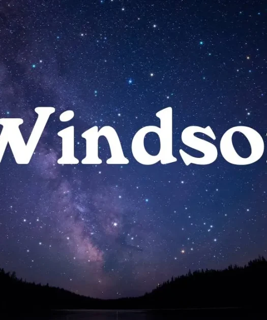 Windsor Font Free Download