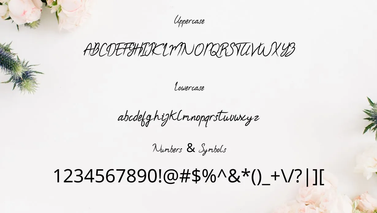 Secretto Edo Brush Font
