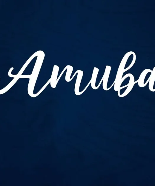 Amuba Font Free Download