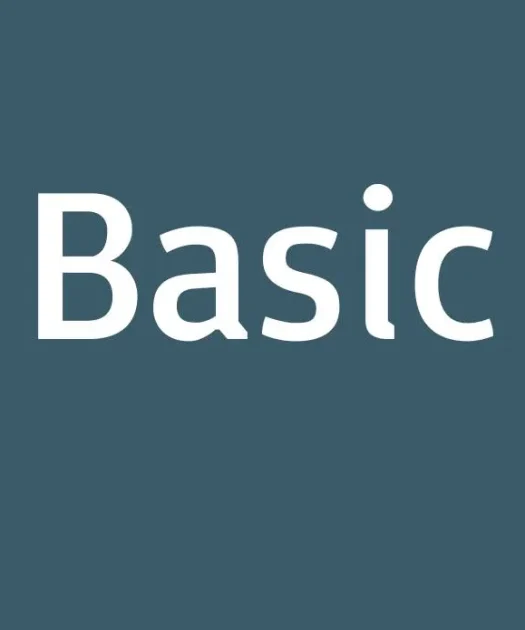 Basic Font Free Download