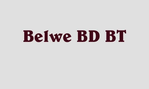 Belwe BD BT Bold Font Free Download