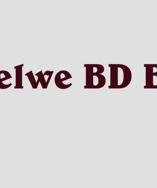 Belwe BD BT Bold Font Free Download