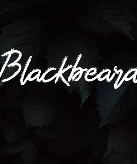 Blackbeard Font Free Download