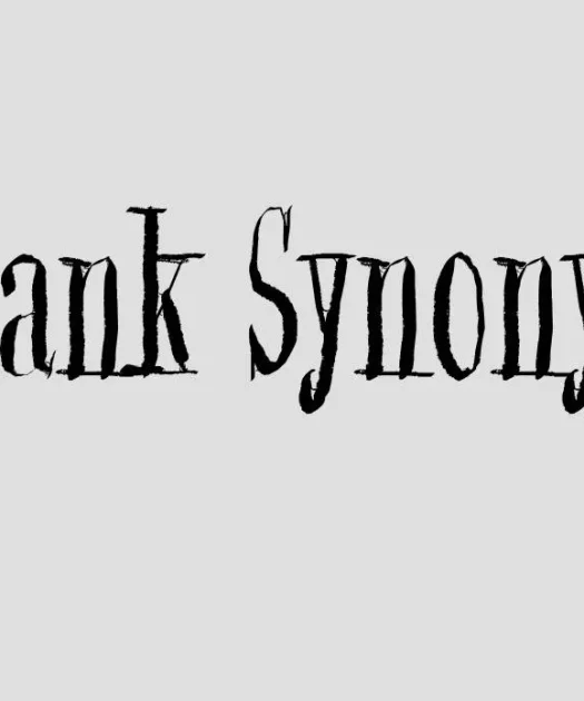 Blank Synonym Font Free Download