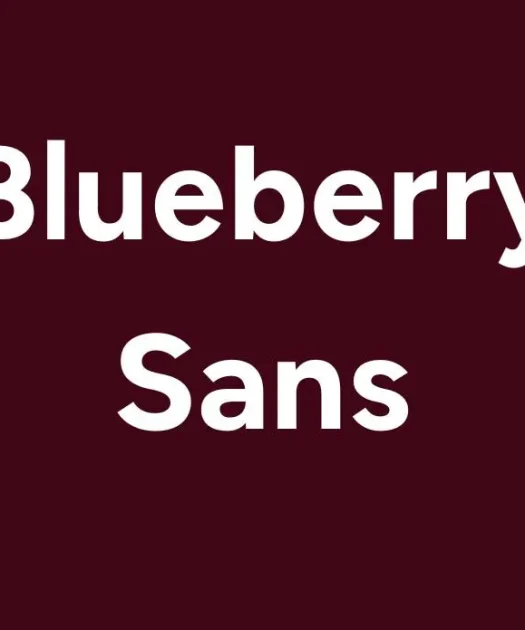 Blueberry Sans Font Free Download
