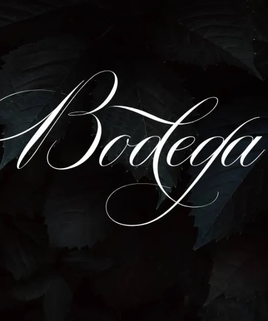 Bodega Font Free Download