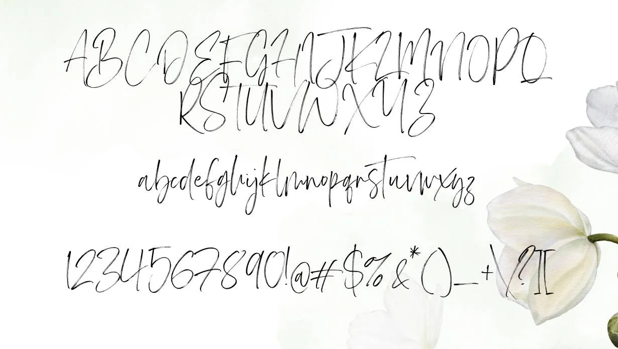 Carlinet Font