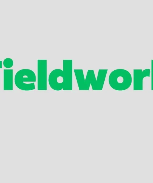 Fieldwork Font Free Download 