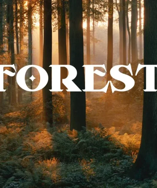 Forest Font Free Download