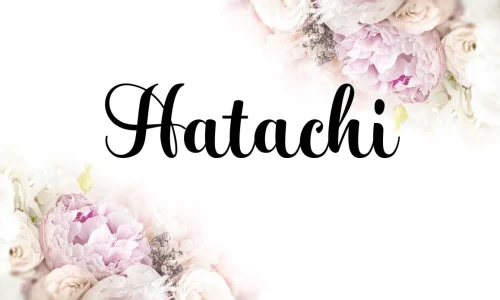 Hatachi Font Free Download
