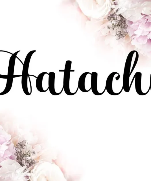 Hatachi Font Free Download
