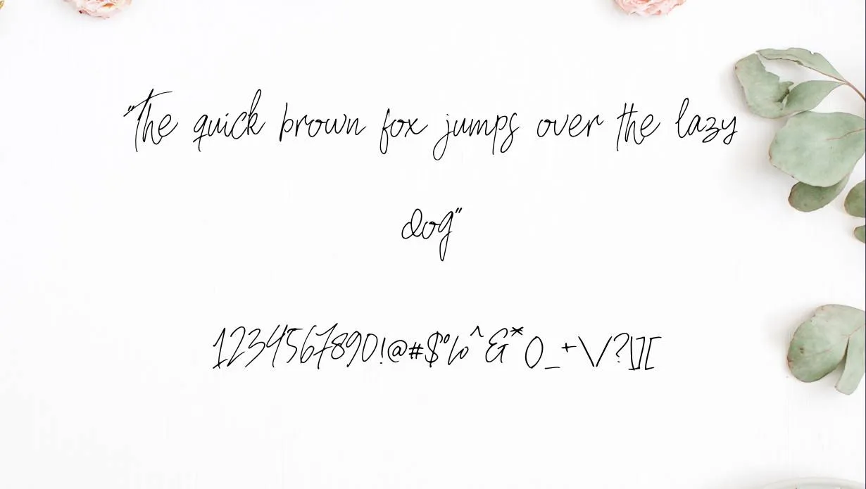 Hostens Font