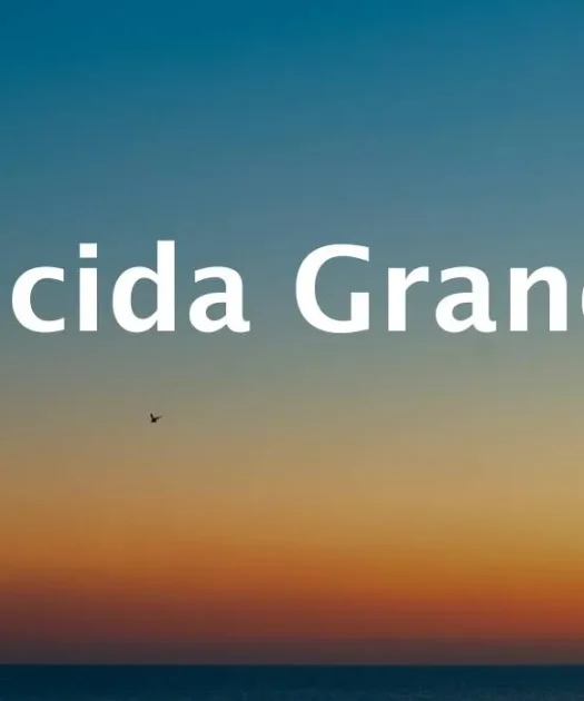 Lucida Grande Font Free Download