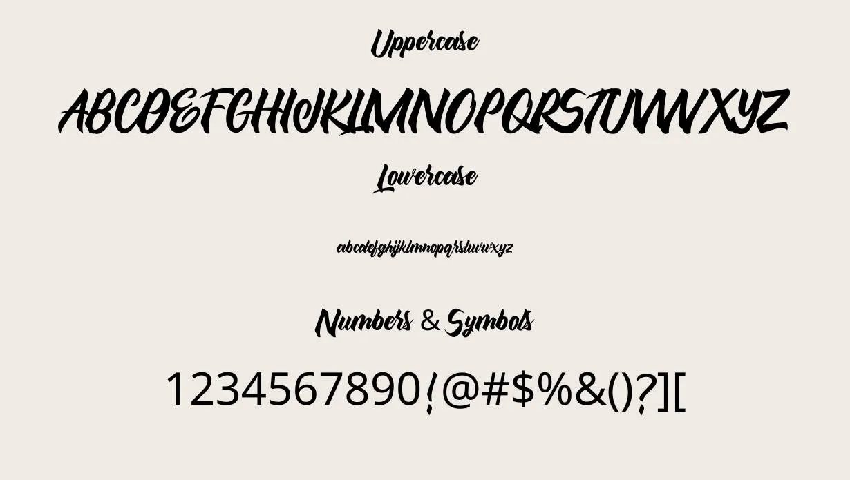 Maghody Bold Script Font