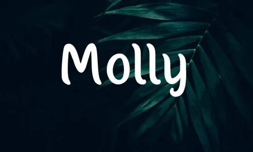 Molly Font Free Download