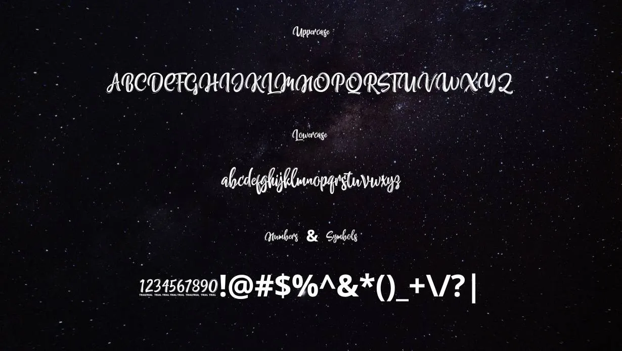 Nettizen Font