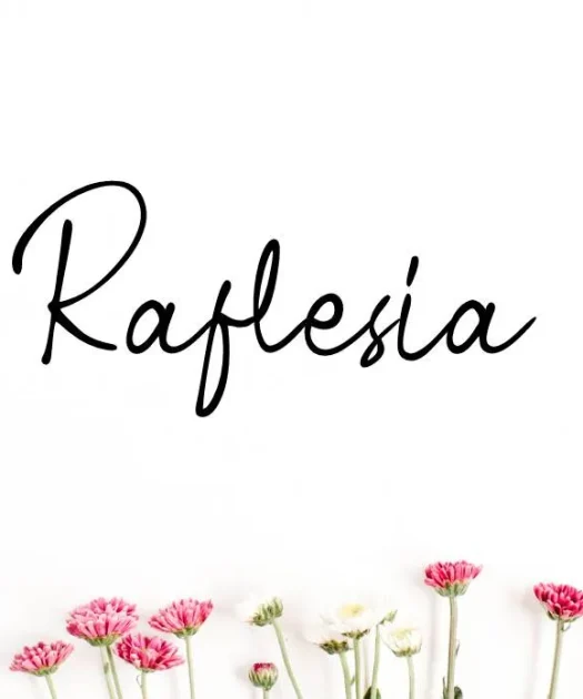 Raflesia Font Free Download