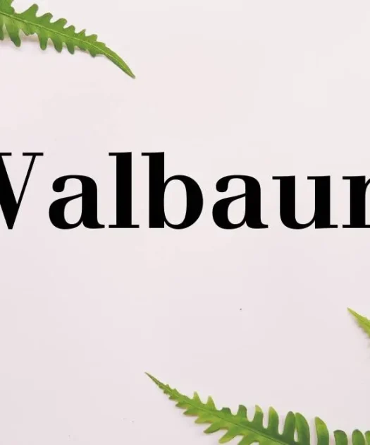 Walbaum Font Free Download