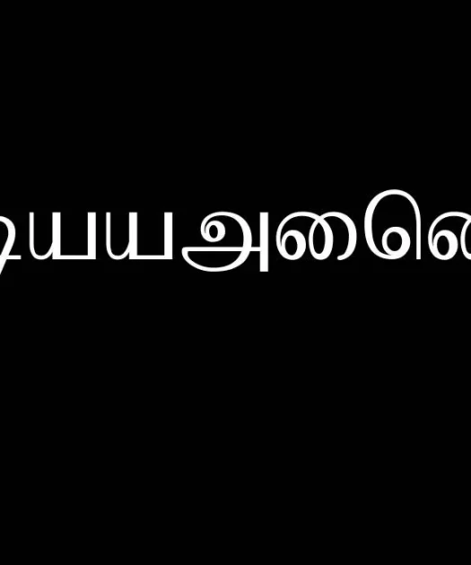 Baamini Font Free Download