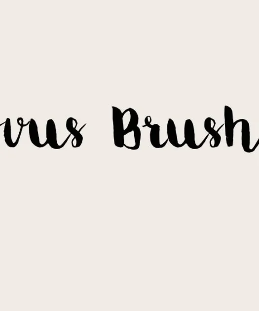 Movus Brushpen Font Free Download