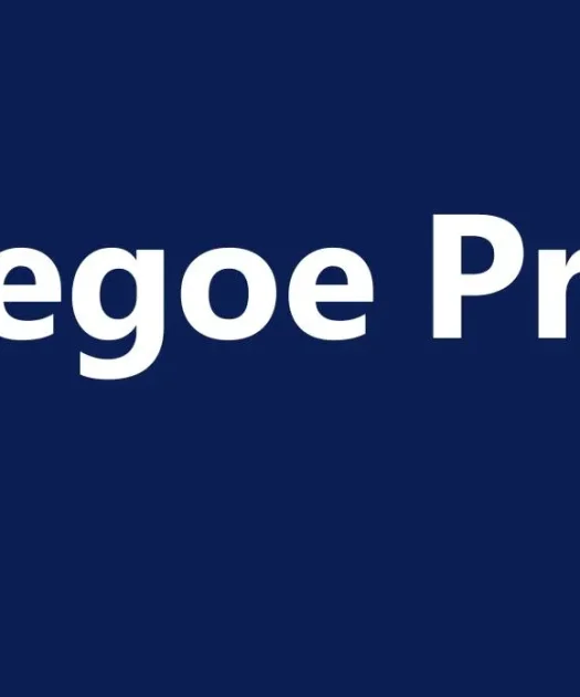 Segoe Pro Font Free Download