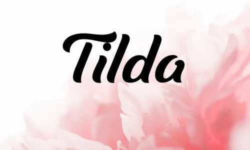 Tilda Font Free Download