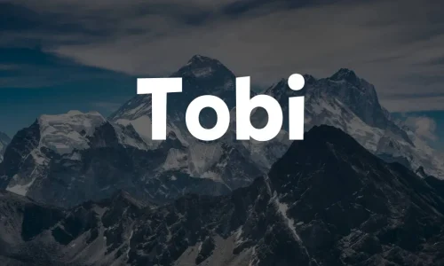 Tobi Font Free Download